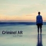 Criminel ar 